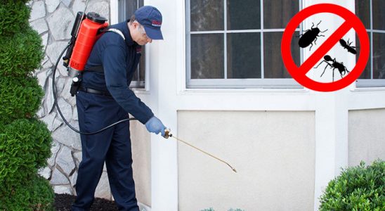Zonguldak Dezenfeksiyon böcek ilaçlama ve haşere kontrolü — ilaclama-tr.com